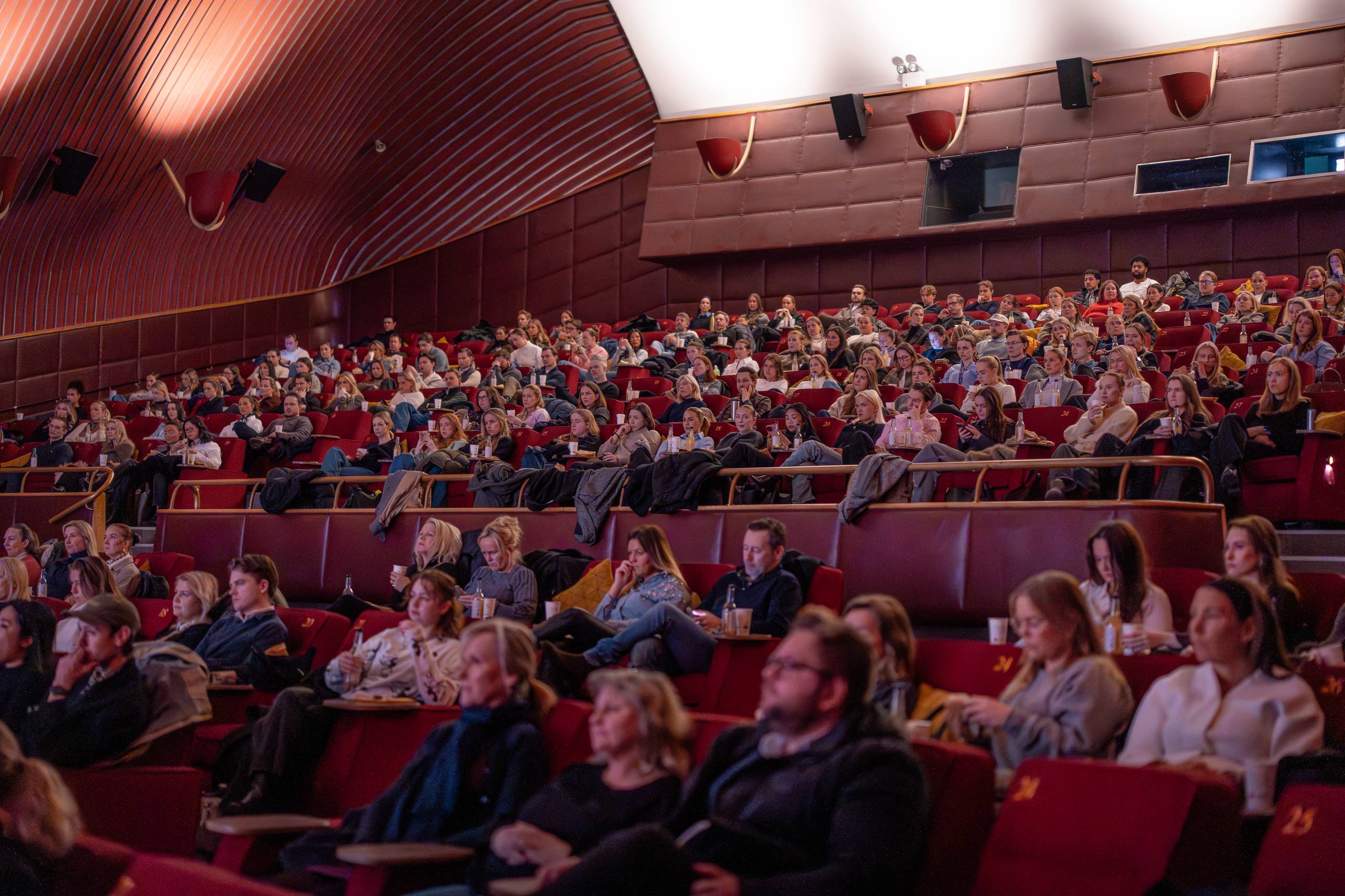 Publikum i kinosalen